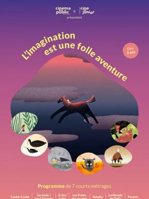 L'imagination est une folle aventure