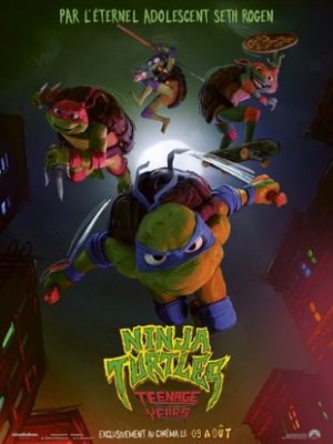 Ninja Turtles : Teenage Years