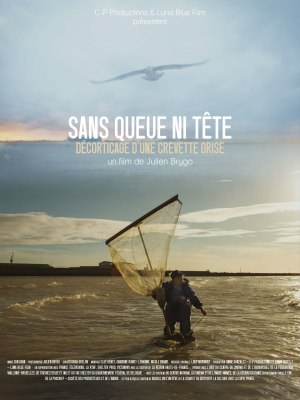 Sans queue ni tête