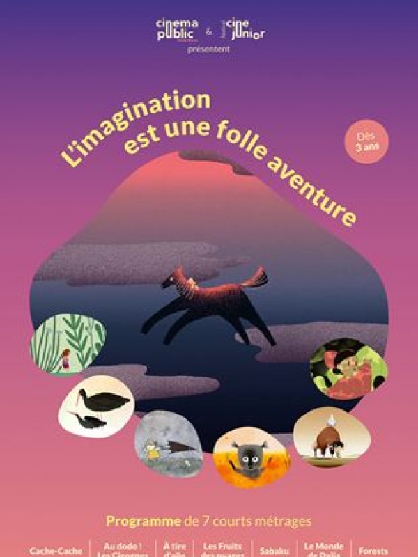 L'imagination est une folle aventure
